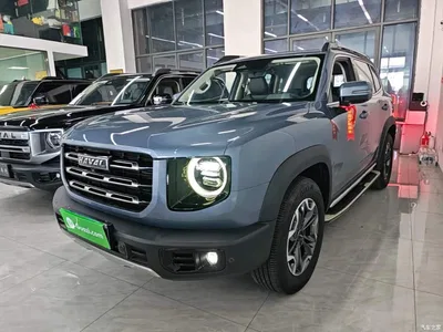 2021 Haval Big Dog 2.0T DCT 4WD Chinese Rural Dog Edition, фото 1, лот 11564510