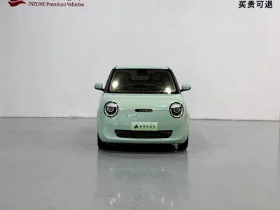 2023 Changan Qiyuan Changan Lumin Model 205km Fragrant Edition, фото 2, лот 10406791