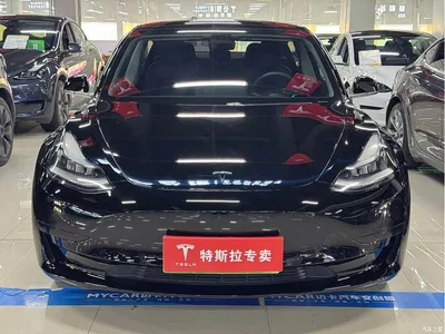 2020 Tesla Model 3 Standard Range Rear-Wheel Drive Upgrade, фото 2, лот 10356255