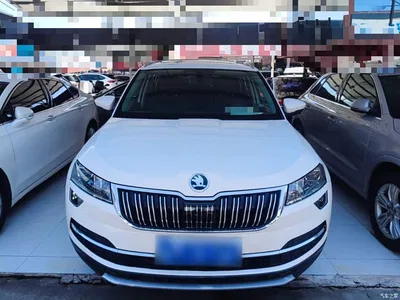 2020 Škoda Karoq TSI280 Smart Luxury Edition China VI, фото 3, лот 10348229