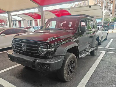 2021 Tank 300 Off-road Version 2.0T Conqueror, фото 1, лот 10306785