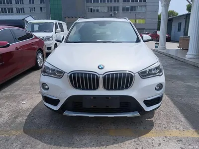 2019 BMW X1 sDrive18Li Premium Model, фото 3, лот 10388580