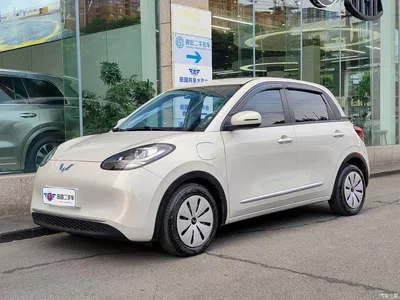 2023 Wuling Motors Wuling Bingo 333km Quick Enjoy Version, фото 1, лот 10367290