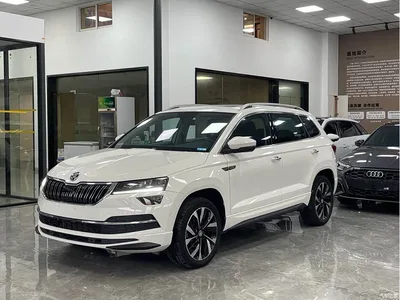2023 Škoda Karoq TSI280 Premium Edition, фото 1, лот 10349059