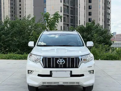 2019 Toyota Land Cruiser Prado, фото 2, лот 10385864