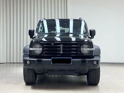 2021 Tank 300 Off-road Version 2.0T Conqueror, фото 2, лот 10350791