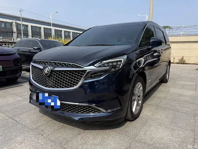 2020 Buick GL8 Avenir Four-Seat Prestige Edition, фото 1, лот 10889419