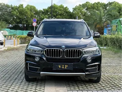 2017 BMW X5 (Import) xDrive28i, фото 2, лот 10577703