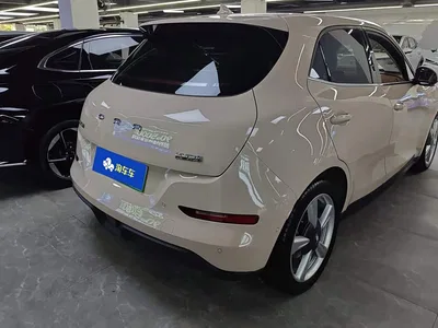 2021 Ora Good Cat 400km Standard Range Athena Edition (NCM), фото 3, лот 11535406