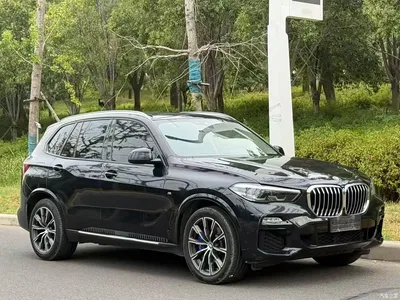 2021 BMW X5 (Import) Facelift xDrive30i M Sport Package, фото 3, лот 10511199