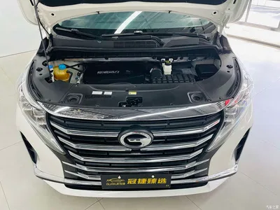 2021 GAC Trumpchi Trumpchi M8 Leading Show Series 390T Premium Edition, фото 2, лот 10415680