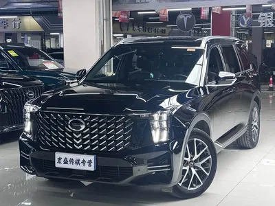 2022 GAC Trumpchi Trumpchi GS8 Pilot Series 2.0TGDI 2WD Premium Edition (7-Seater), фото 1, лот 11534116
