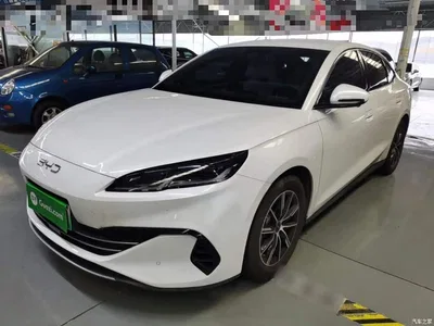 2024 BYD Seal 06 New Energy DM-i 80KM Prestige, фото 2, лот 10272545
