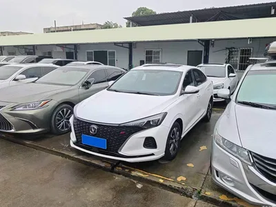 2020 Changan Eado PLUS Blue Whale NE 1.4T GDI DCT Trend, фото 1, лот 10771238
