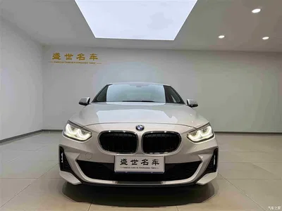2019 BMW 1 Series 120i Leading M Sport Package, фото 2, лот 10431681