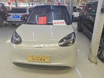 2023 Wuling Motors Wuling Bingo 333km Smart Connectivity Edition, фото 2, лот 10367314