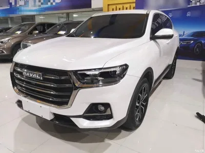 2021 Haval H6 National Trend Edition 1.5T Automatic Urban Edition, фото 1, лот 10304612