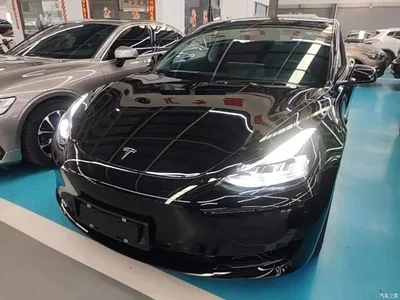 2022 Tesla Model 3 Model Rear-Wheel Drive Version, фото 1, лот 10369828