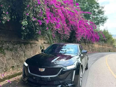 2021 Cadillac CT5 28T Leading Sport, фото 1, лот 11415162