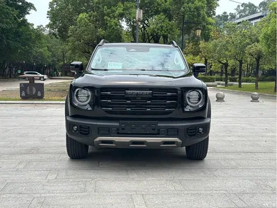 2022 Haval Big Dog 1.5T DCT FWD Border Collie Edition, фото 3, лот 10361724