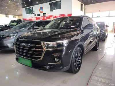 2021 Haval H6 National Trend Edition 1.5T Automatic Urban Edition, фото 1, лот 10812635