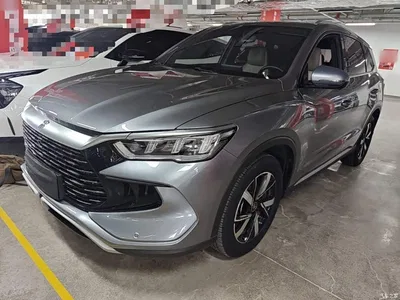 2023 BYD Song Pro New Energy Champion Edition DM-i 71KM Leading Type, фото 1, лот 10272599
