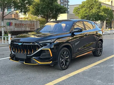 2022 Changan Oshan Changan Oushang X5 Sport Edition 1.5T DCT Hurricane Sonic, фото 1, лот 11149814