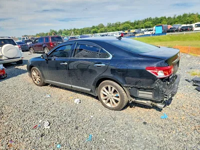 2010 LEXUS ES 350, фото 2, лот 10668210