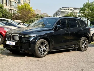 2023 BMW X5 xDrive 30Li Premium M Sport Black Night Package, фото 1, лот 11521779