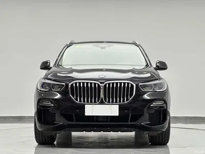 2019 BMW X5 (Import) xDrive40i Exclusive M Sport Package, фото 3, лот 10479318