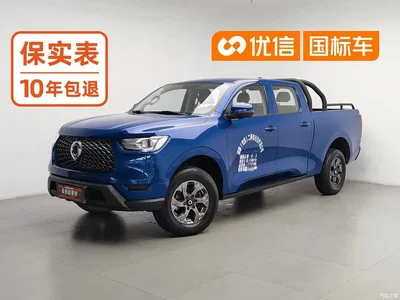 2021 Great Wall Pao 2.0T Commercial Edition Automatic Diesel 2WD Elite Long Box GW4D20M, фото 1, лот 10364270