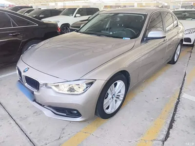 2016 BMW 3 Series 320i Fashion Model, фото 2, лот 10457497