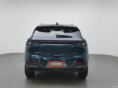 2021 Dongfeng Fengxing T5 EVO 1.5TD DCT Diamond Edition, фото 4, лот 11165096
