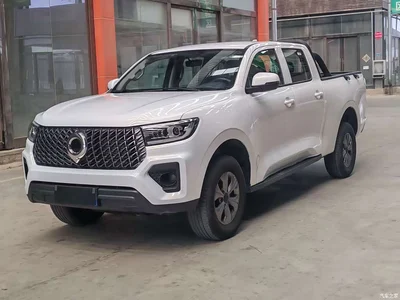 2023 Great Wall Pao 2.0T Commercial Automatic Gasoline 4WD Elite Long Box GW4C20B, фото 1, лот 10245855