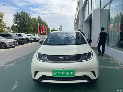 2025 BYD Dolphin 420km Freedom Edition, фото 2, лот 10396398