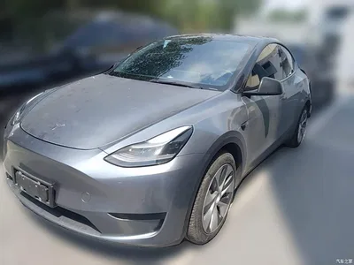 2022 Tesla Model Y Rear-Wheel Drive Version, фото 1, лот 10389888