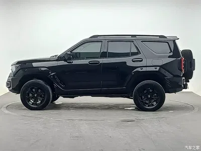 2024 Tank 400 New Energy Hi4-T Off-Road Edition, фото 3, лот 11179745