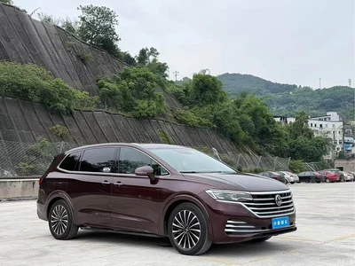 2020 Volkswagen Viloran 380TSI Premium, фото 3, лот 10475650