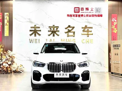2019 BMW X5 (Import) xDrive40i Exclusive M Sport Package, фото 2, лот 11544291