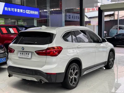 2019 BMW X1 xDrive20Li Premium Model, фото 4, лот 10464986