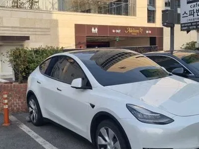 2021 Tesla Model Y Long Range AWD, фото 1, лот 10124077