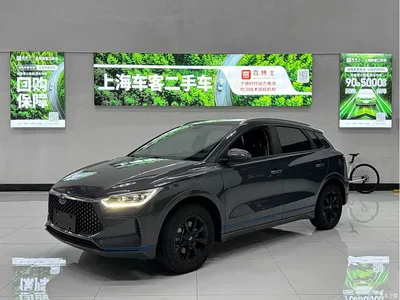 2020 BYD e2 Upgraded Long Range Luxury, фото 1, лот 10255309
