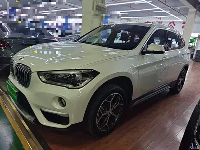 2018 BMW X1 xDrive20Li Premium Model, фото 1, лот 11181563