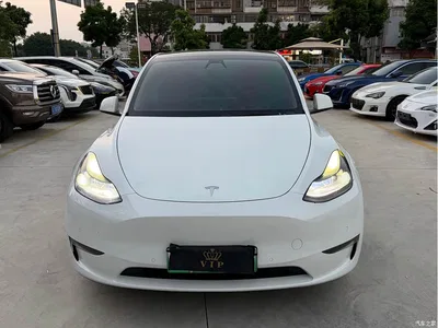 2021 Tesla Model Y Model Long Range AWD, фото 2, лот 10689399