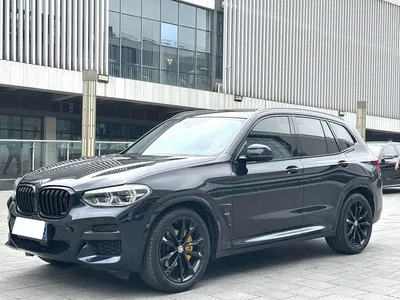 2019 BMW X3 xDrive30i Premium M Sport Package, фото 1, лот 10394004
