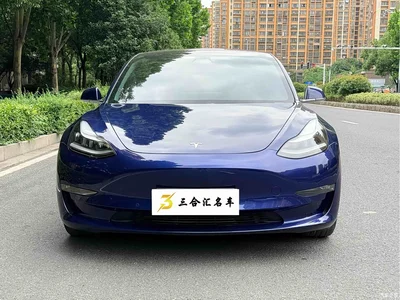 2019 Tesla Model 3 (Import) Long Range RWD Version, фото 2, лот 10353814