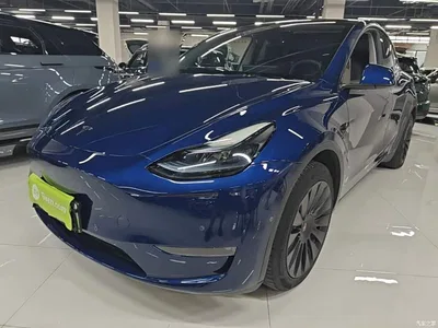 2022 Tesla Model Y Facelift Long Range All-Wheel Drive Version, фото 1, лот 10370103