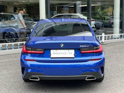 2020 BMW 3 Series 320Li M Sport Package, фото 4, лот 11133847