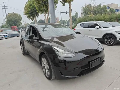 2022 Tesla Model Y Rear-Wheel Drive Version, фото 4, лот 10889735