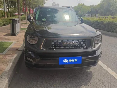 2023 Haval Da Gou 2nd Gen 2.0T AWD Wild Adventure Plus, фото 2, лот 10304682